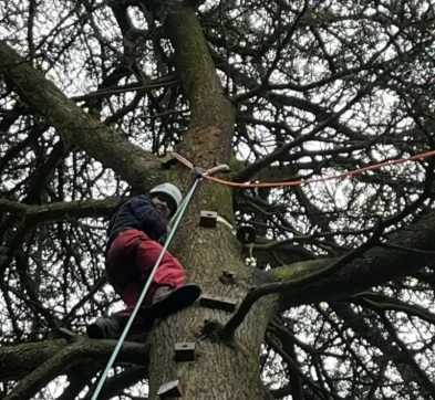 Group4 Victor Tree Climb