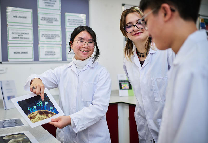 Students Working In Biology Class